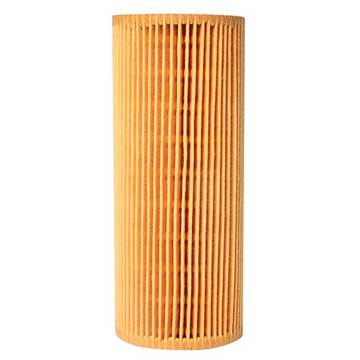 110924 Oil Filter 3.0 V6/3.2 V6