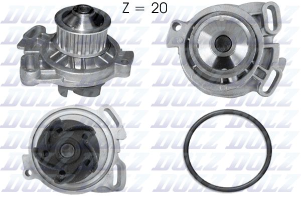 101520 Water pump ''20 Teeth'' DW,1S,DV,1G