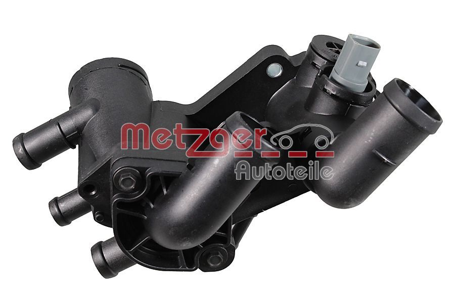 110350 Thermostat & housing