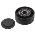 113264 Idler Pulley for auxiliary belt
