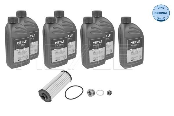 117123KP1 DSG Transmission Oil and Filter Service Kit