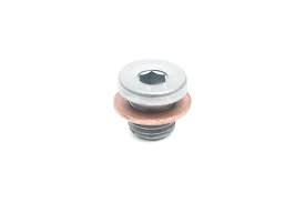 46409 Bolt Plug with seal ring