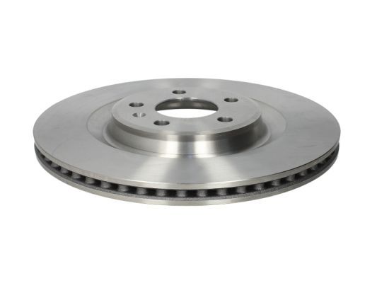631154 Pagid Rear Sold brake disc-300mm