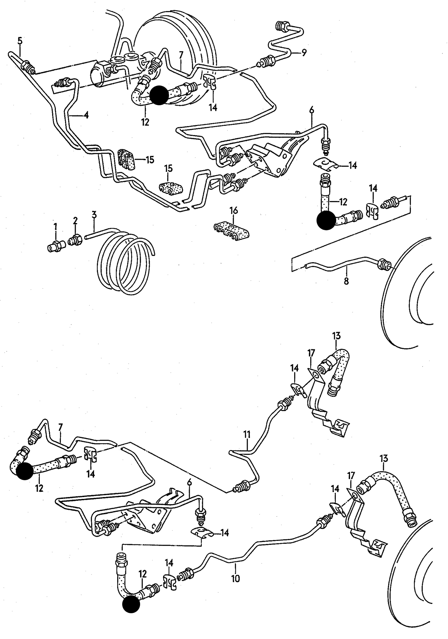 103068 Topran Rear Brake hose