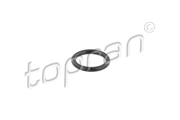 109640 Seal Ring, injector