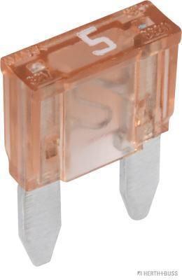 (30) 104516 5A Brown Fuse