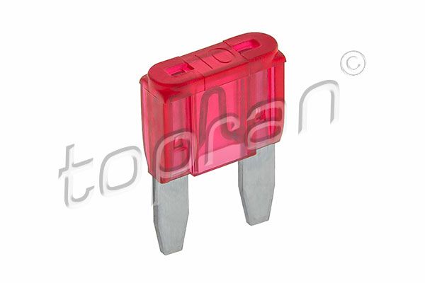 (30) 104518 10A Red Fuse
