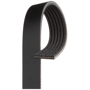 113202 Ribbed belt 6pk1115/1117