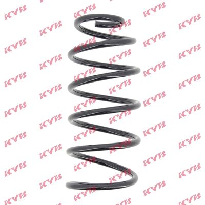 NCS1254 Front coil spring