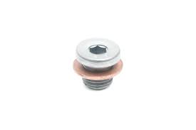 (100 46409 Bolt Plug with seal ring
