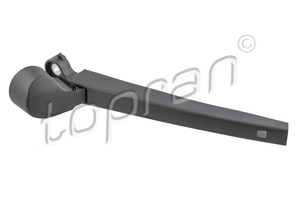 117416 Rear wioer arm & cap